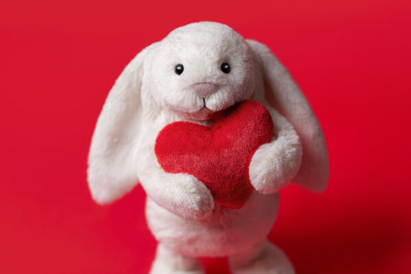 Jellycat Bashful Red Love Heart Bunny – Bild 4